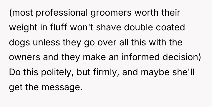 (most professional groomers worth their weight in fluff won't shave...