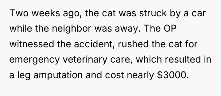 Two weeks ago, the cat was struck by a car...