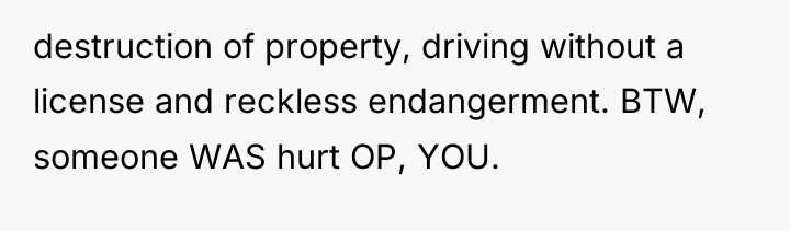 destruction of property, driving without a license and reckless endangerment....