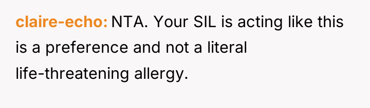 claire-echo NTA. Your SIL is acting like this is a...
