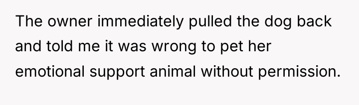 The owner immediately pulled the dog back and told me...