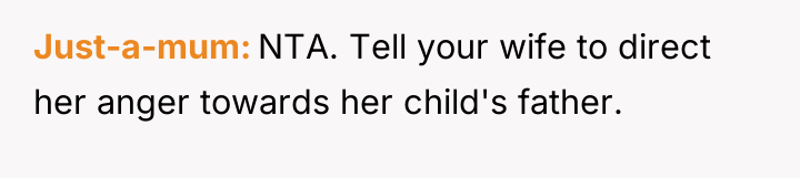 Just-a-mum NTA. Tell your wife to direct her anger towards...