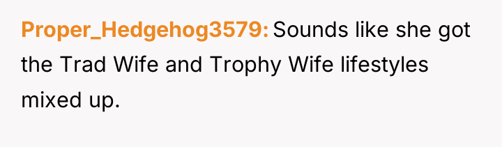 Proper_Hedgehog3579 Sounds like she got the Trad Wife and Trophy...
