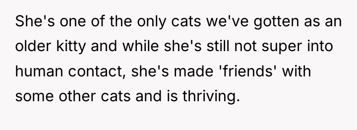 She's one of the only cats we've gotten as an...