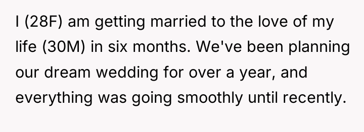 I (28F) am getting married to the love of my...