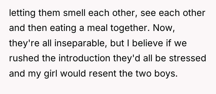 letting them smell each other, see each other and then...