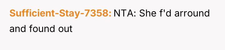 Sufficient-Stay-7358 NTA: She f'd arround and found out