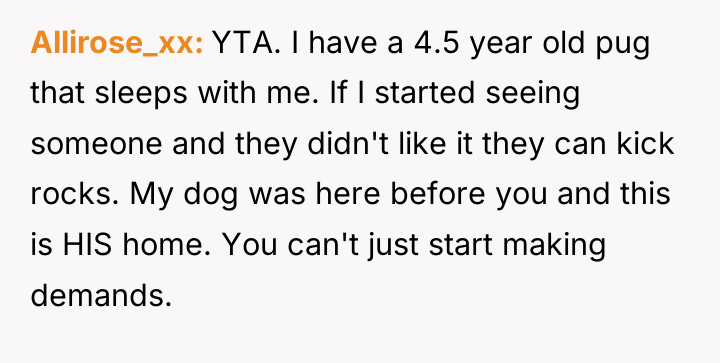 Allirose_xx YTA. I have a 4.5 year old pug that...