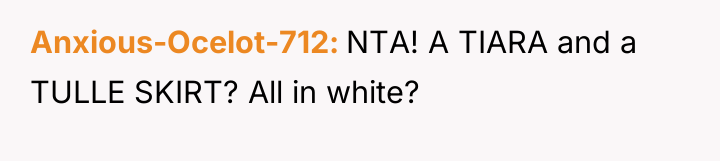 Anxious-Ocelot-712 NTA! A TIARA and a TULLE SKIRT? All in...