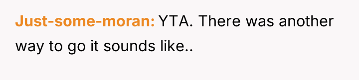 Just-some-moran YTA. There was another way to go it sounds...