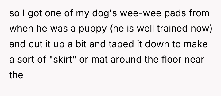 so I got one of my dog's wee-wee pads from...