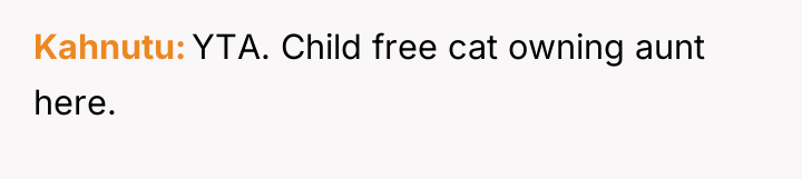 Kahnutu YTA. Child free cat owning aunt here.
