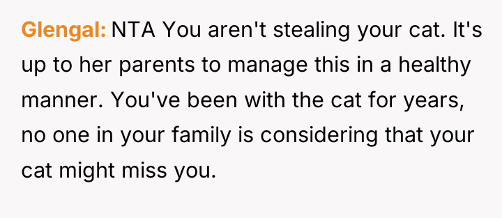 Glengal NTA You aren't stealing your cat. It's up to...