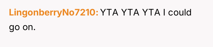 LingonberryNo7210 YTA YTA YTA I could go on.