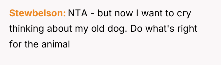 Stewbelson NTA - but now I want to cry thinking...