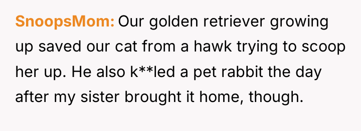 SnoopsMom Our golden retriever growing up saved our cat from...