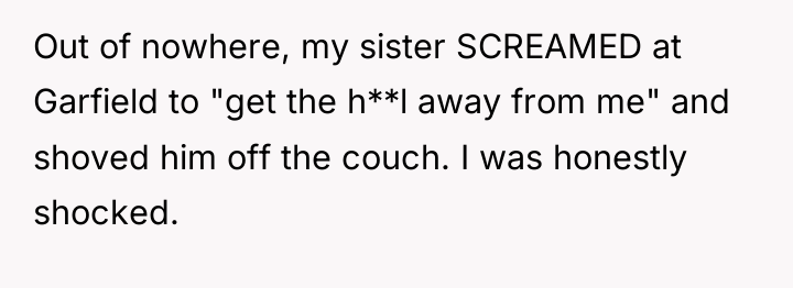 Out of nowhere, my sister SCREAMED at Garfield to "get...