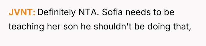 JVNT Definitely NTA. Sofia needs to be teaching her son...