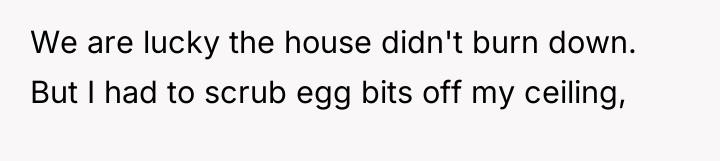 We are lucky the house didn't burn down. But I...