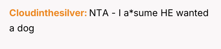 Cloudinthesilver NTA - I a*sume HE wanted a dog