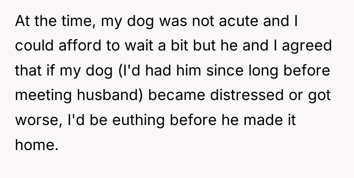 At the time, my dog was not acute and I...