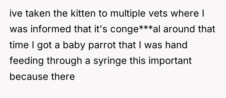 ive taken the kitten to multiple vets where I was...