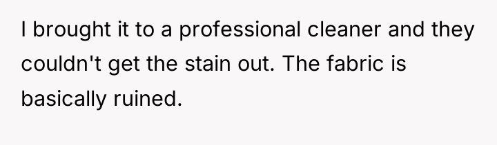 I brought it to a professional cleaner and they couldn't...