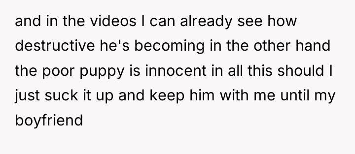 and in the videos I can already see how destructive...
