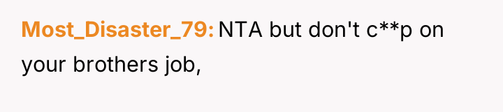 Most_Disaster_79 NTA but don't c**p on your brothers job,