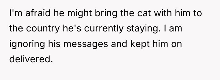 I'm afraid he might bring the cat with him to...