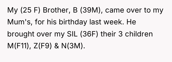 My (25 F) Brother, B (39M), came over to my...