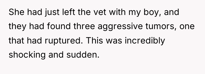 She had just left the vet with my boy, and...