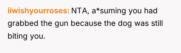 iiwishyourroses NTA, a*suming you had grabbed the gun because the...