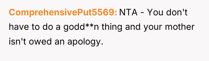 ComprehensivePut5569 NTA - You don't have to do a godd**n...