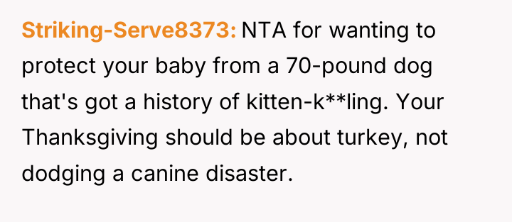Striking-Serve8373 NTA for wanting to protect your baby from a...