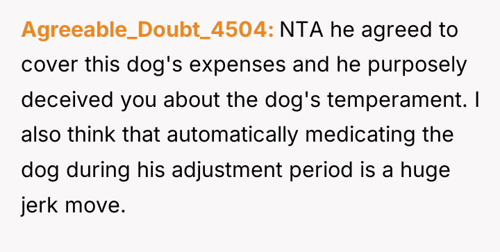 Agreeable_Doubt_4504 NTA he agreed to cover this dog's expenses and...