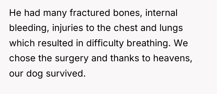He had many fractured bones, internal bleeding, injuries to the...