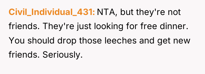 Civil_Individual_431 NTA, but they're not friends. They're just looking for...