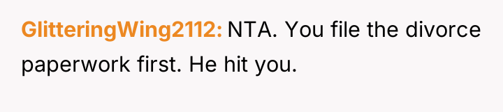 GlitteringWing2112 NTA. You file the divorce paperwork first. He hit...