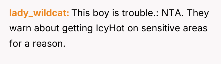 lady_wildcat This boy is trouble.: NTA. They warn about getting...