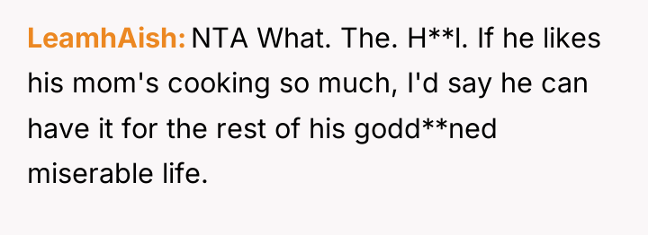 LeamhAish NTA What. The. H**l. If he likes his mom's...