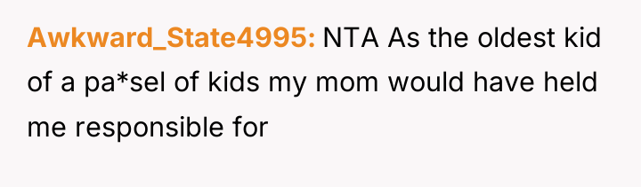 Awkward_State4995 NTA As the oldest kid of a pa*sel of...