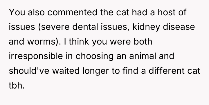 You also commented the cat had a host of issues...