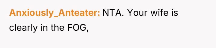 Anxiously_Anteater NTA. Your wife is clearly in the FOG,