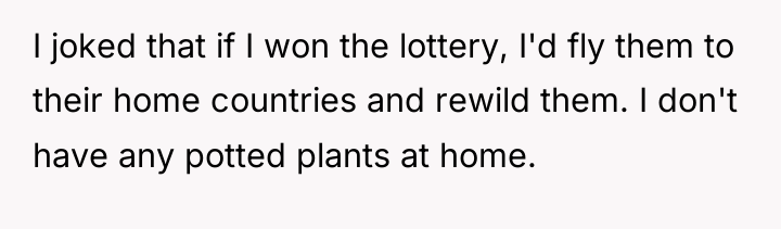 I joked that if I won the lottery, I'd fly...