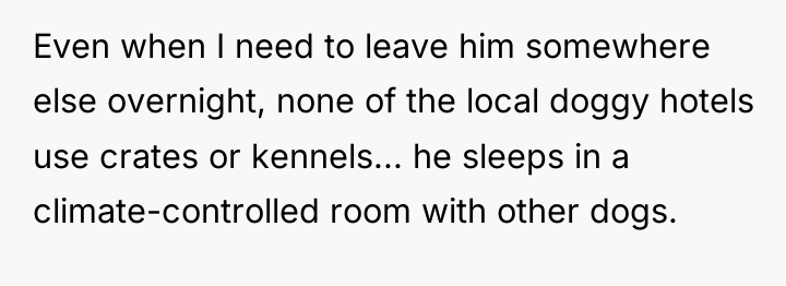 Even when I need to leave him somewhere else overnight,...