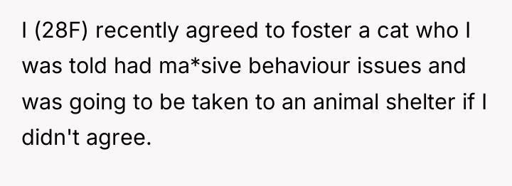 I (28F) recently agreed to foster a cat who I...