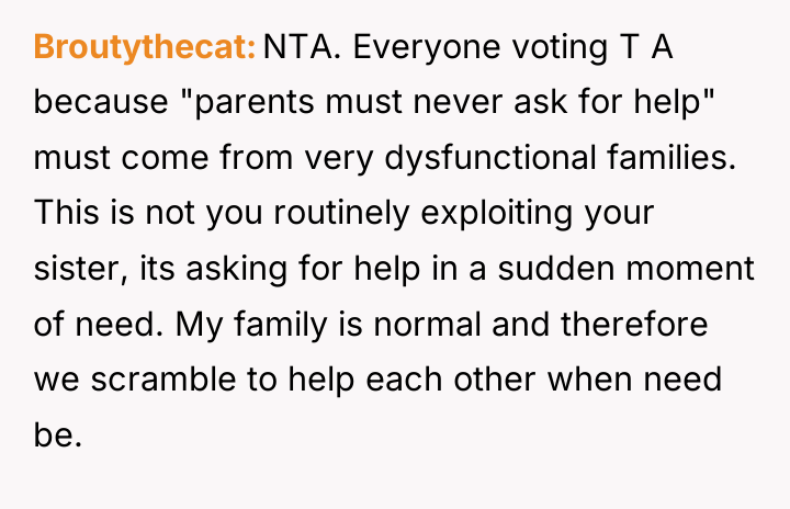 Broutythecat NTA. Everyone voting T A because "parents must never...