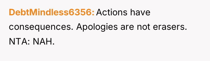 DebtMindless6356 Actions have consequences. Apologies are not erasers. NTA: NAH.