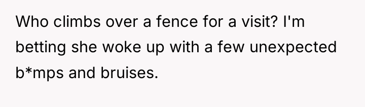 Who climbs over a fence for a visit? I'm betting...